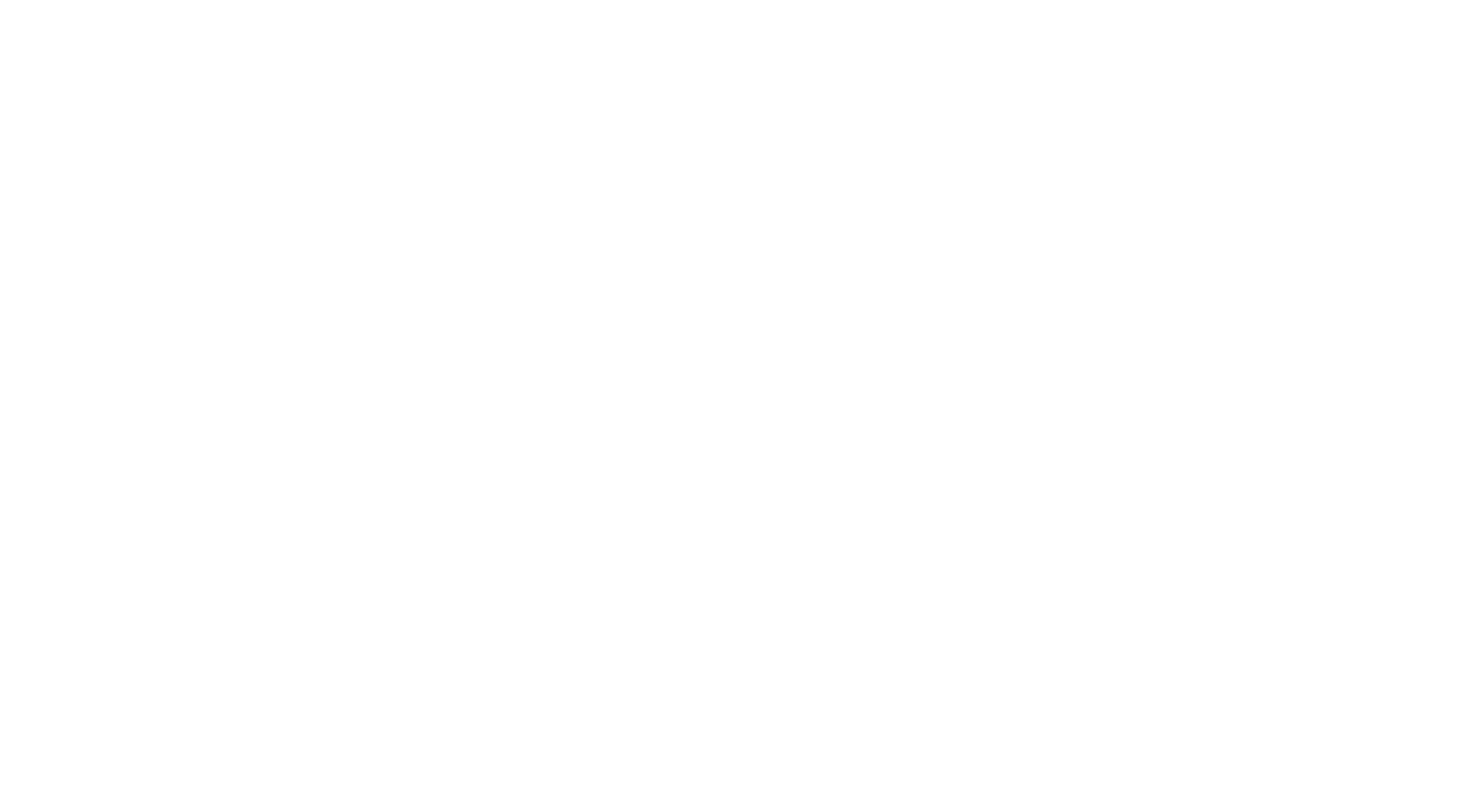 Paris Painting - White Logo