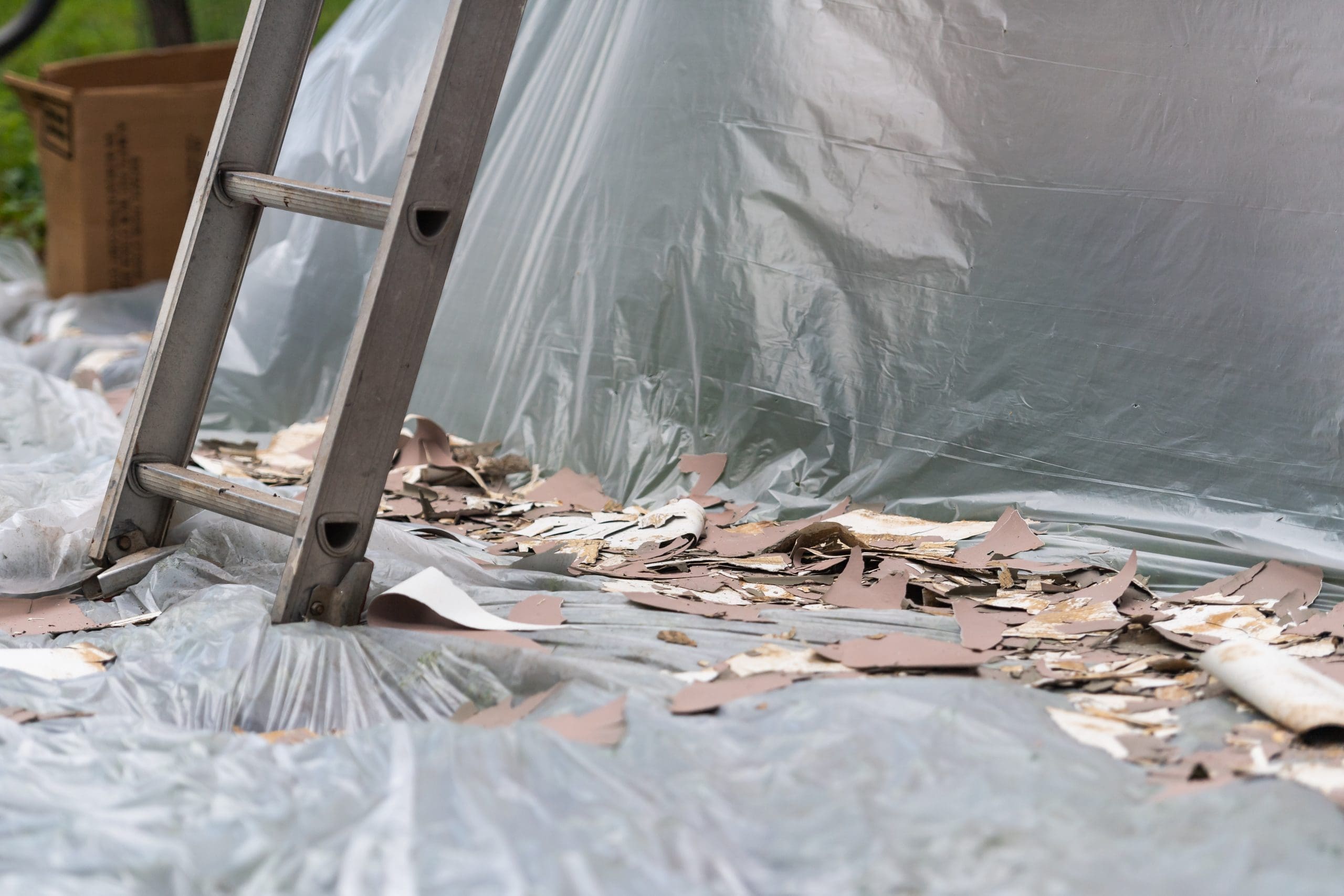 Scrape and Collect Loose Paint Chips